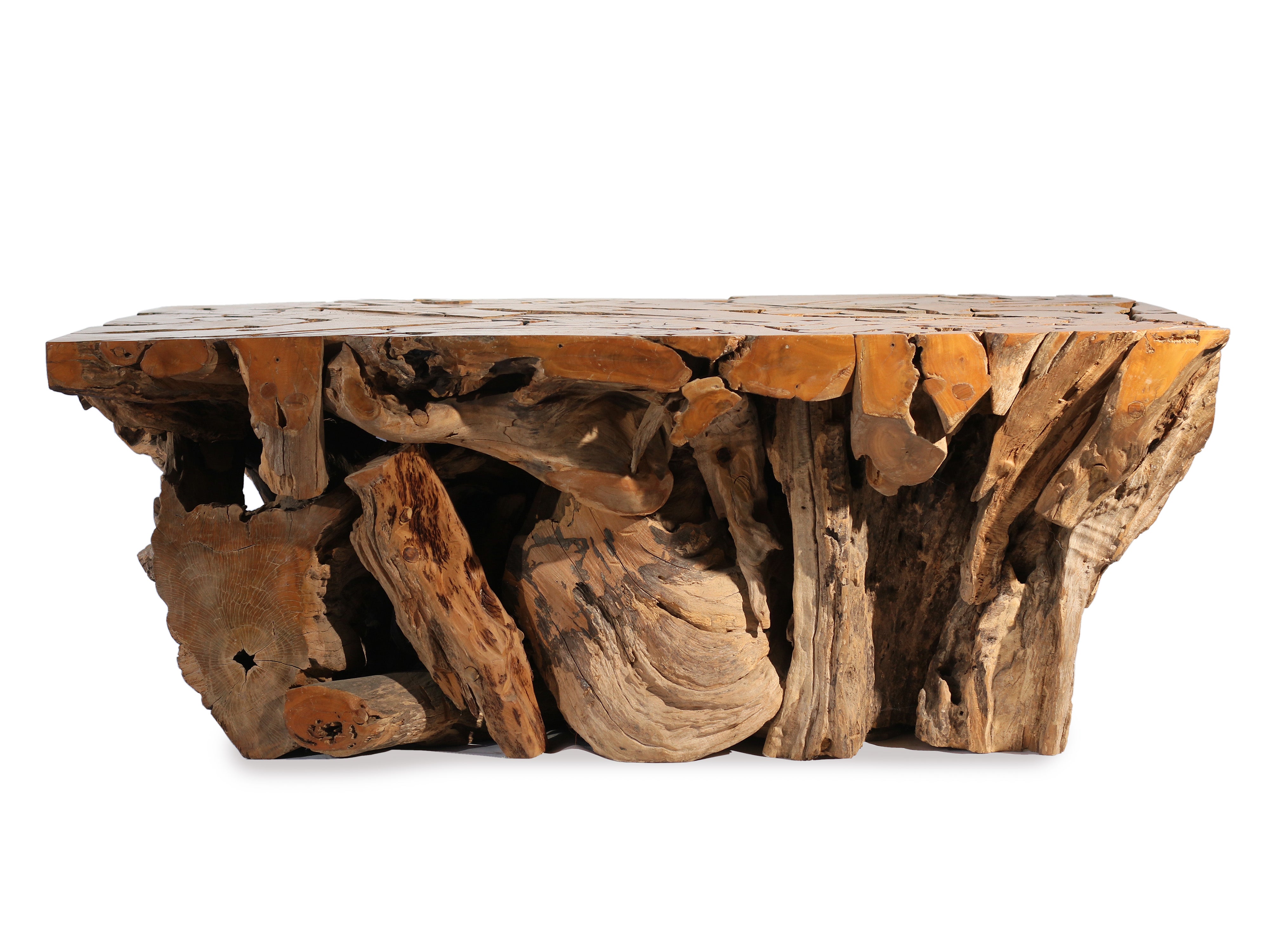 Driftwood Trunk Rectangle Coffee Table